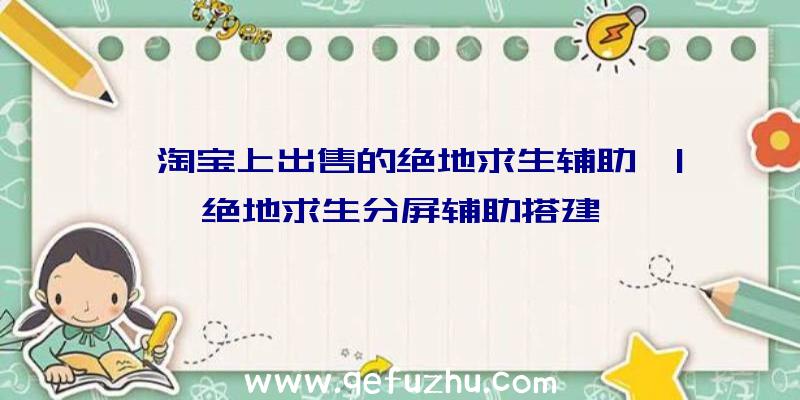 「淘宝上出售的绝地求生辅助」|绝地求生分屏辅助搭建